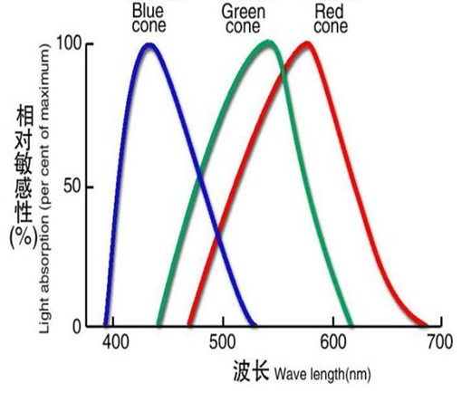 Light Absorption Rate