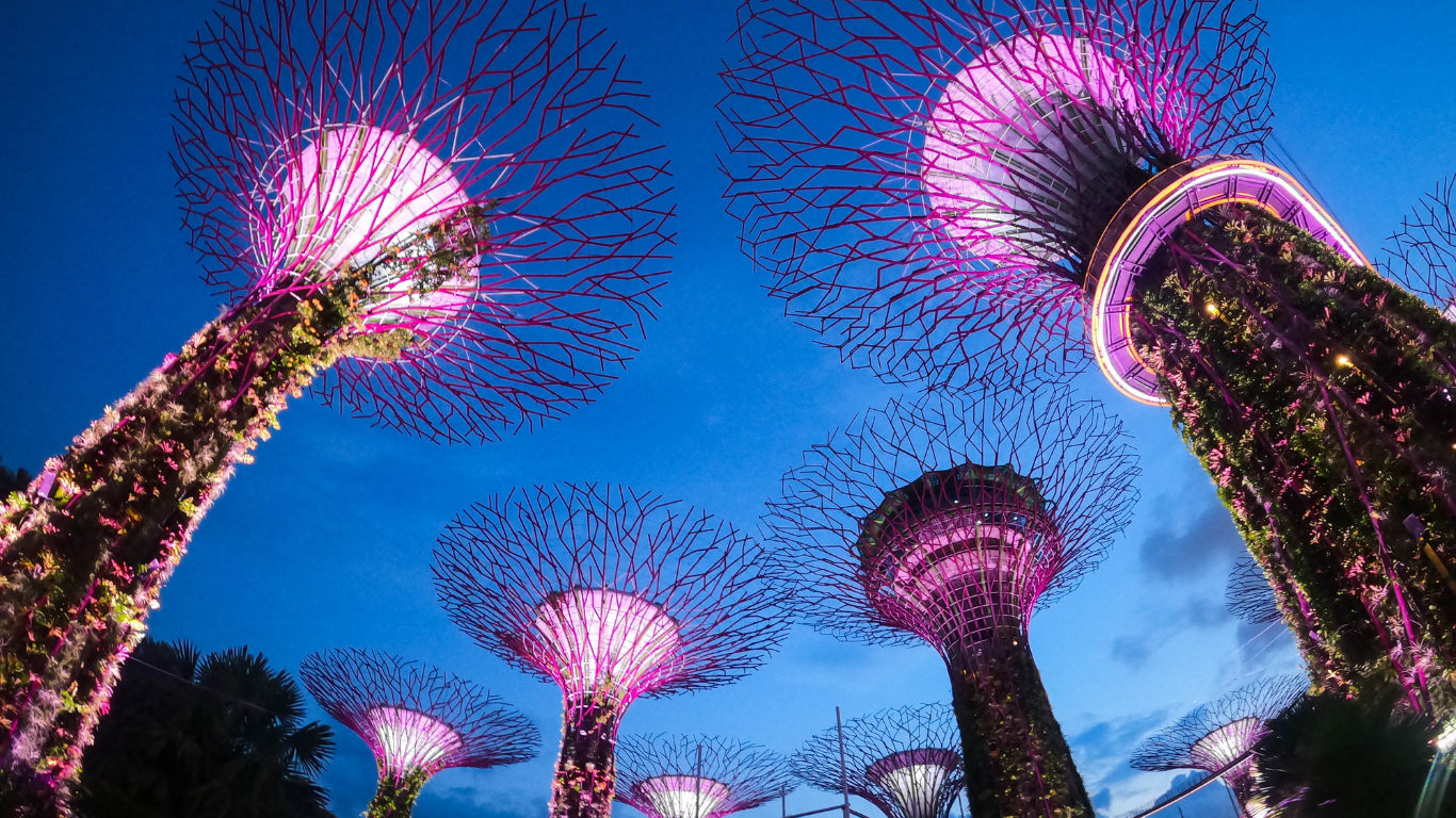 Supertree Gardens by the Bay at night, Singapore.